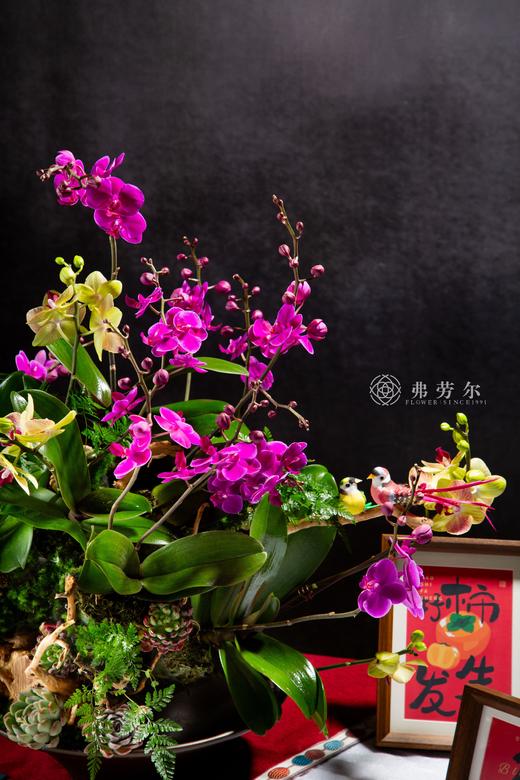 千蛇报瑞 商品图5