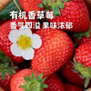 沃野有机香草莓 2.3斤 ±0.1 斤 【预售6天左右，排单发货】 商品缩略图0