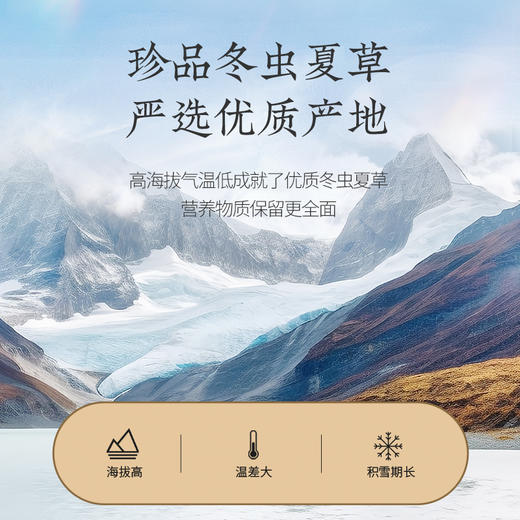 【正宗同仁堂品牌】北京同仁堂 冬虫夏草-50/5克礼盒(1克/盒*5盒) 虫体干净 高品质干虫草 滋补品SY 商品图6