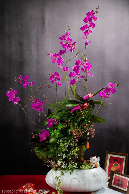 龙蛇飞舞 商品图0