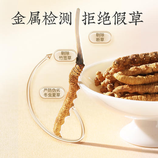 【正宗同仁堂品牌】北京同仁堂 冬虫夏草-50/5克礼盒(1克/盒*5盒) 虫体干净 高品质干虫草 滋补品SY 商品图3