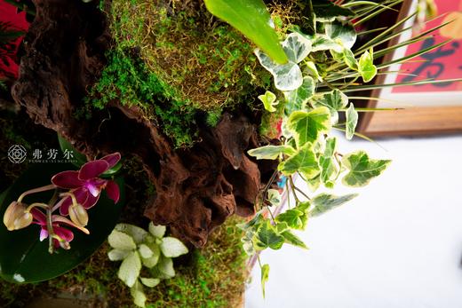 生生不息 商品图3