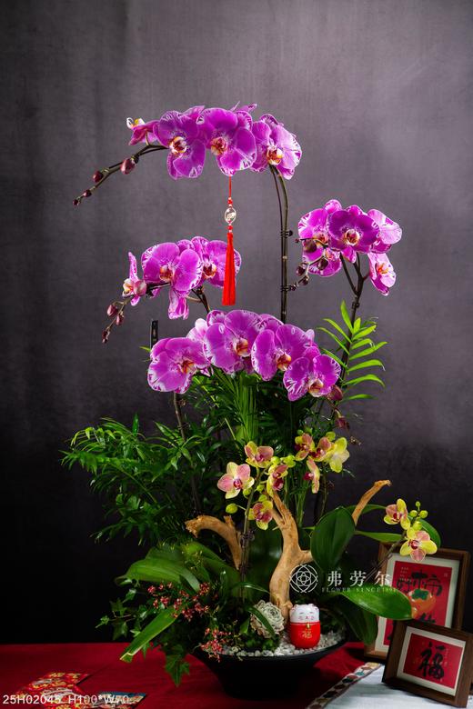 龙蛇起陆 商品图0