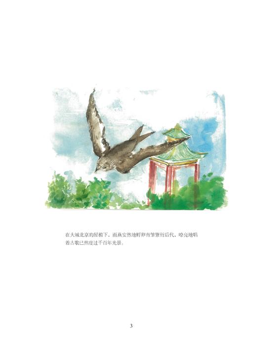 京范儿  增订本 崔岱远 著 三联书店 商品图3