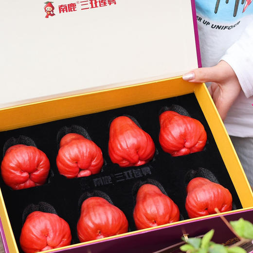 三亚南鹿一号有机莲雾，新鲜采摘✈️顺丰/德邦空运 商品图5