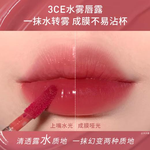 三熹玉3ce水雾唇雾 #肉桂色 乌龙奶茶LADOWN 4.6g 商品图3