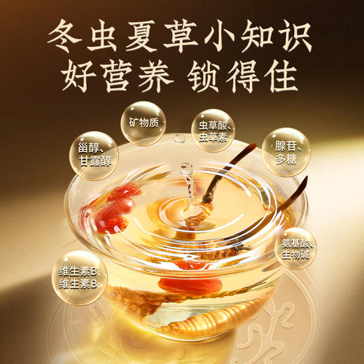 【正宗同仁堂品牌】北京同仁堂 冬虫夏草-50/5克礼盒(1克/盒*5盒) 虫体干净 高品质干虫草 滋补品SY 商品图5