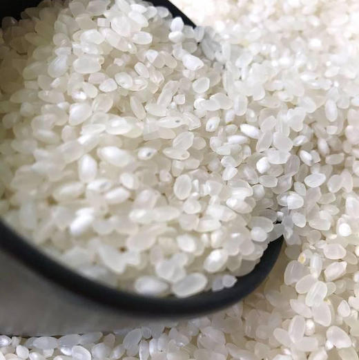 🌾盘锦蟹田米|生态大米 商品图3