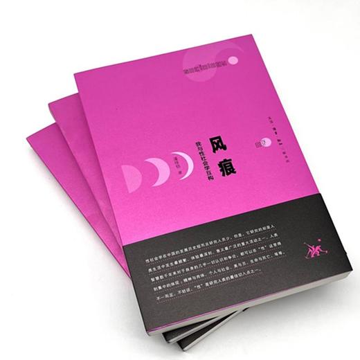 风痕：我与性社会学互构 潘绥铭 著 三联书店 商品图1