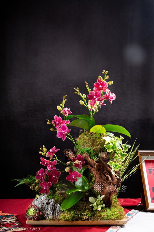 生生不息 商品图0