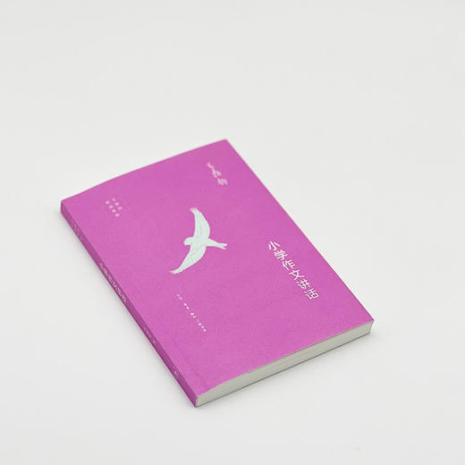 小学作文讲话 王鼎钧 著 三联书店旗舰店 商品图4