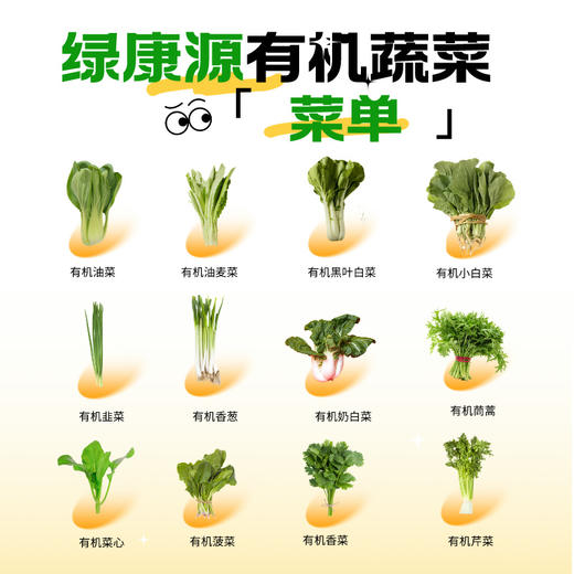 丨有机丨绿康源 有机蔬菜礼盒  北方地区首选 商品图4