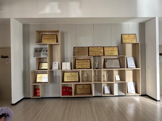 丨有机丨绿康源 有机蔬菜礼盒  北方地区首选 商品图8