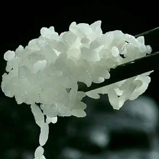🌾盘锦蟹田米|生态大米 商品图5