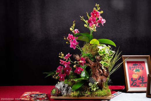 生生不息 商品图4