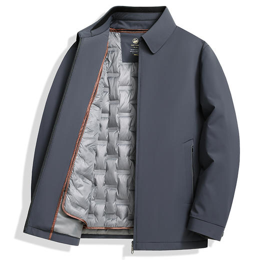 丁摩 【高端牛奶丝】90白鹅绒羽绒服男秋冬商务休闲翻领中厚高档外套5ZF-11220 商品图4