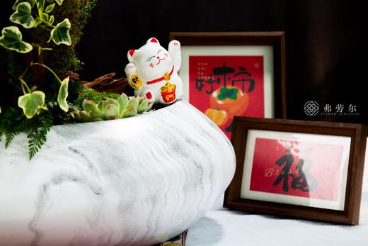 龙蛇飞舞 商品图2