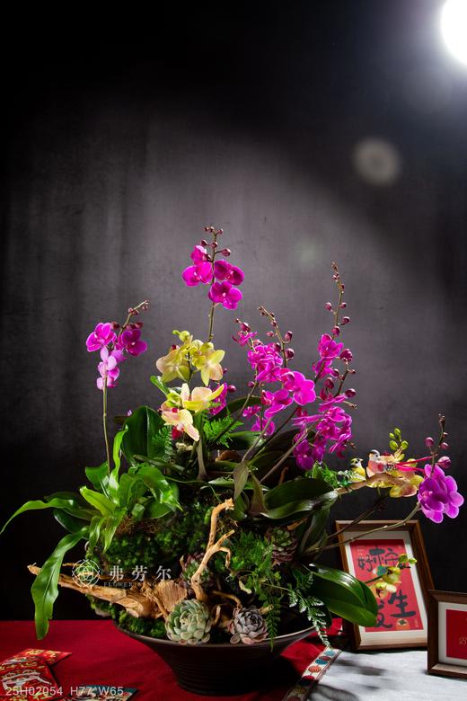 千蛇报瑞 商品图1