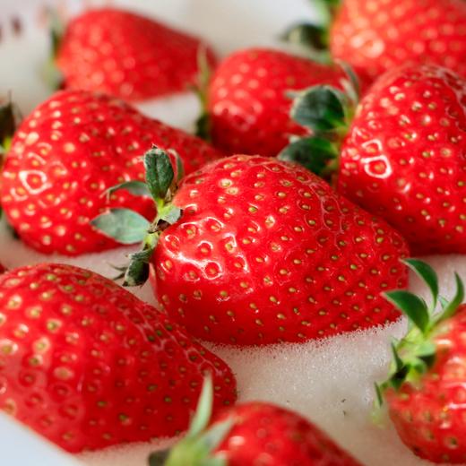 沃野有机香草莓 2.3斤 ±0.1 斤 【预售6天左右，排单发货】 商品图6
