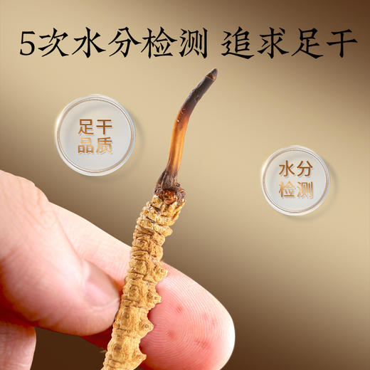 【正宗同仁堂品牌】北京同仁堂 冬虫夏草-50/5克礼盒(1克/盒*5盒) 虫体干净 高品质干虫草 滋补品SY 商品图7