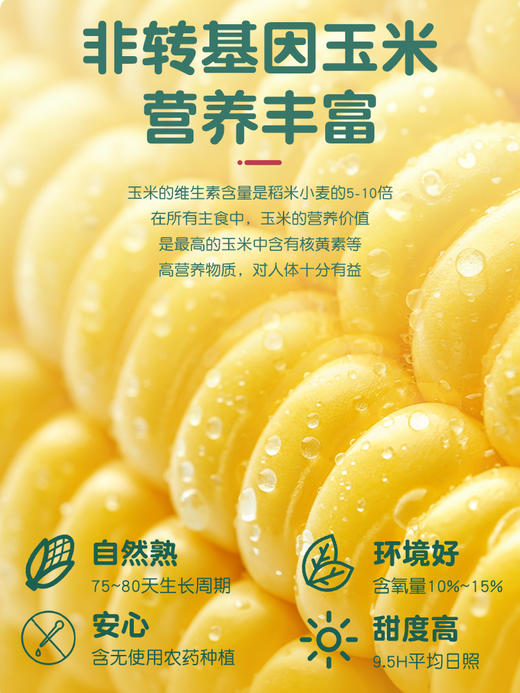 水果玉米嘟嘟棒系列 商品图3