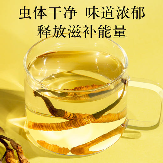 【正宗同仁堂品牌】北京同仁堂 冬虫夏草-40/5克(1克/盒x5盒) 西藏虫草 高品质精选虫草礼盒 5g SY 商品图3