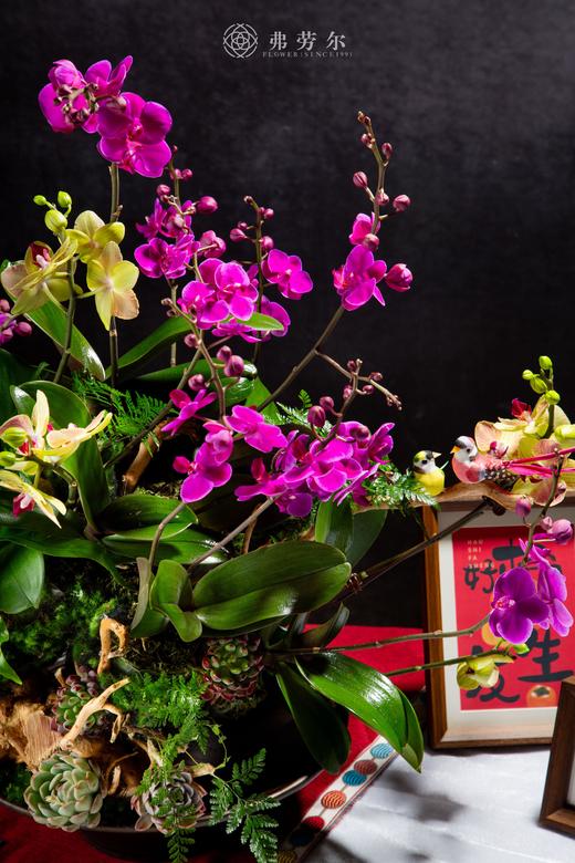 千蛇报瑞 商品图3