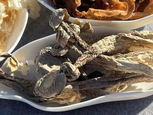 五折特惠|五行养生超级菌菇！养颜瘦身强身健体！ 商品图6