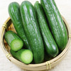 MM 山姆 有机水果青瓜 1kg 商品缩略图6
