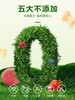高钙有机泡芙系列 商品缩略图4
