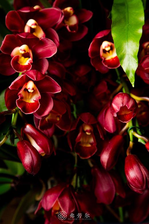 富贵好运来 商品图4