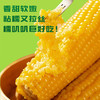 隆王府-糯玉米礼盒220g±10g/穗*10穗 商品缩略图3