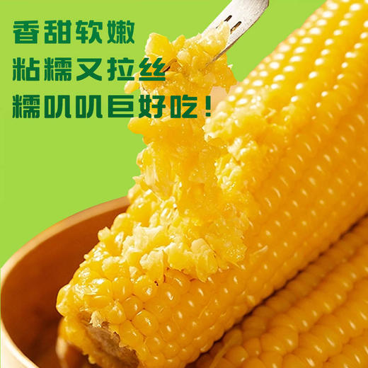 隆王府-糯玉米礼盒220g±10g/穗*10穗 商品图3