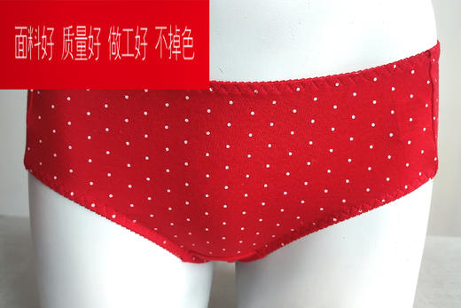 新年二枚组女式红短裤WD029A 商品图2