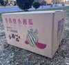 【高糖春玉西瓜 /金玉西瓜48小时发货 礼盒装】可徒手剥皮，精致个头，果肉红艳，水分足，甘甜如冰糖，吊瓜种植 商品缩略图4
