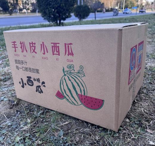 【高糖春玉西瓜 /金玉西瓜48小时发货 礼盒装】可徒手剥皮，精致个头，果肉红艳，水分足，甘甜如冰糖，吊瓜种植 商品图4