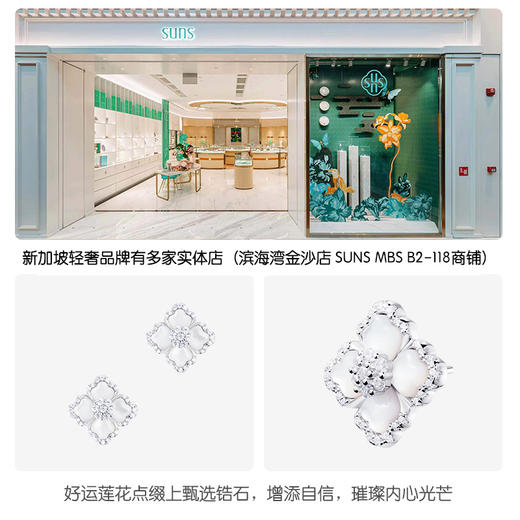 suns耳钉2024年新款洋气白贝母纯银小众轻奢气质送女友老婆礼物礼品 商品图2