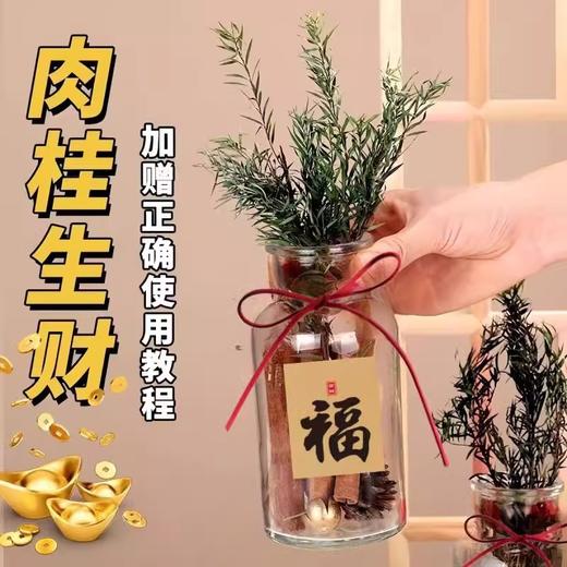 【肉桂生金瓶】新款肉桂生财瓶香薰摆件发财玻璃瓶 diy装饰客财厅位生日礼物，发财的事不能等，肉桂让搞钱变的顺心顺意。ry 商品图1