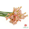 垂筒花-粉色 10枝/扎 商品缩略图2
