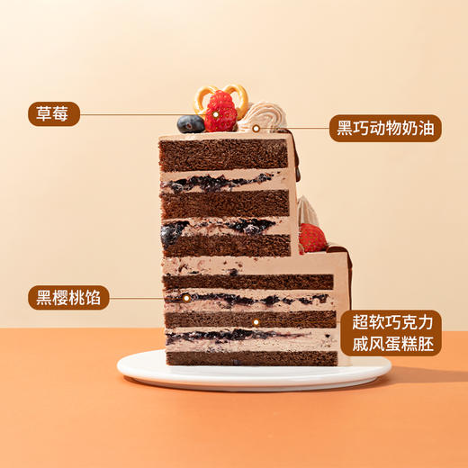 【浓情巧巧森林】6+4英寸双层新品下午茶，浓郁丝滑巧克力，带你来到巧巧森林秘境的奇幻之旅，放慢脚步在醇香细腻中与你相遇（惠州幸福西饼） 商品图3