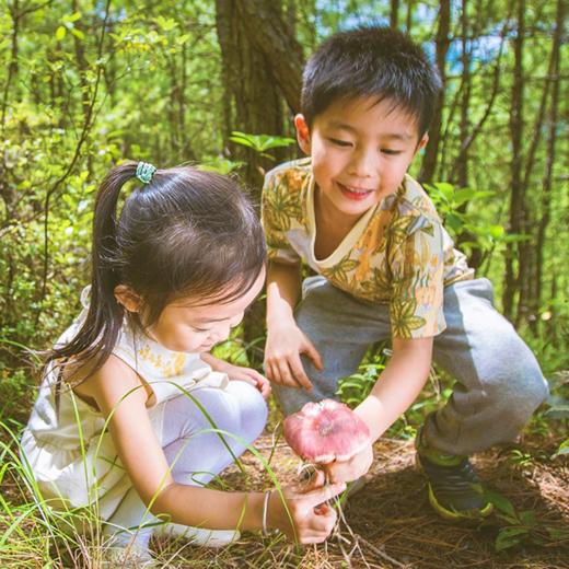 野趣香巴拉｜云南 ·丽江·香格里拉深度3日游【go小团】 商品图1