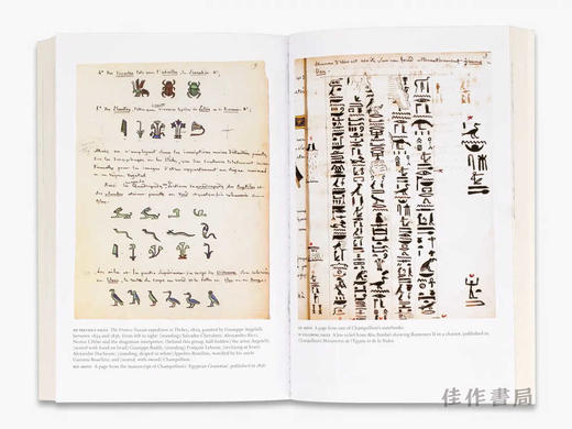 Cracking the Egyptian Code: The Revolutionary Life of Jean-Francois Champollion / 破译埃及密码：让-弗朗索瓦·商博良的 商品图4