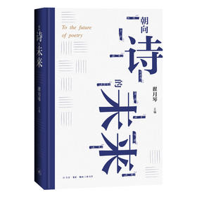 朝向诗的未来  翟月琴 著 三联书店