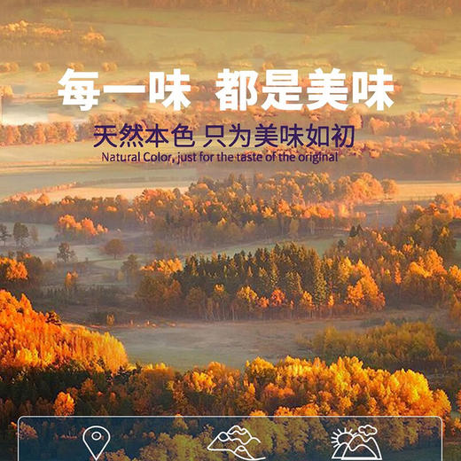 九间棚山林八珍1.195kg菌菇礼盒 商品图2