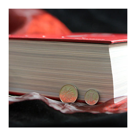 银勺子：意大利每个家庭需备的厨艺宝典，意大利烹饪的权威之作 商品图5