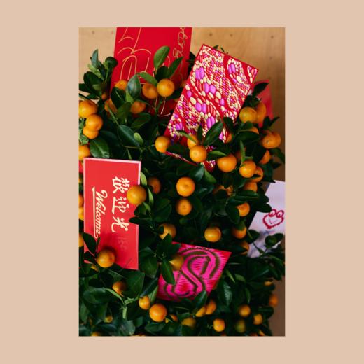 「红彤彤」设计师红包套装 商品图3