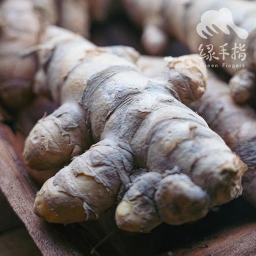 生态姜黄| 合作生产*Ecological turmeric| Partner Production 商品图2