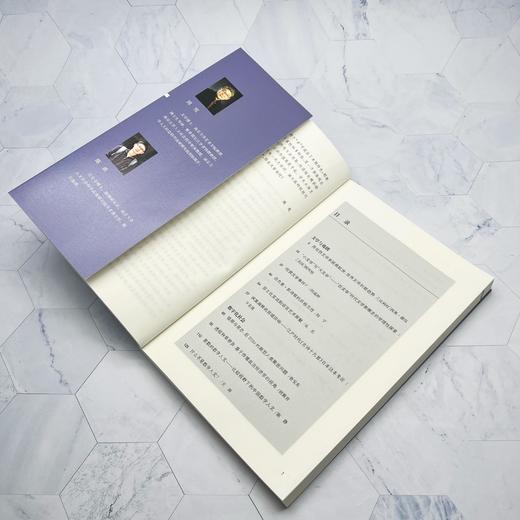 多元文化与多重视角 周宪 主编 陈勇 副主编  三联书店 商品图2