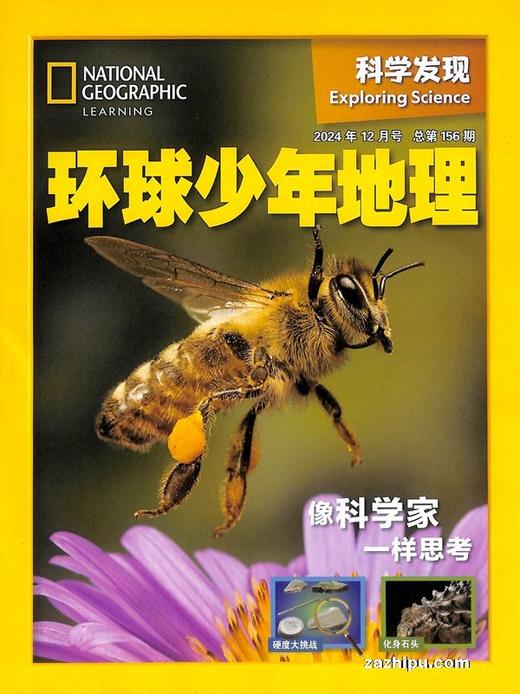 环球少年地理科学发现（1年共12期）（杂志订阅） 商品图3