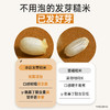 阿福视界 | 东北糙米，低脂饱腹自带胚芽，2.5kg 商品缩略图2